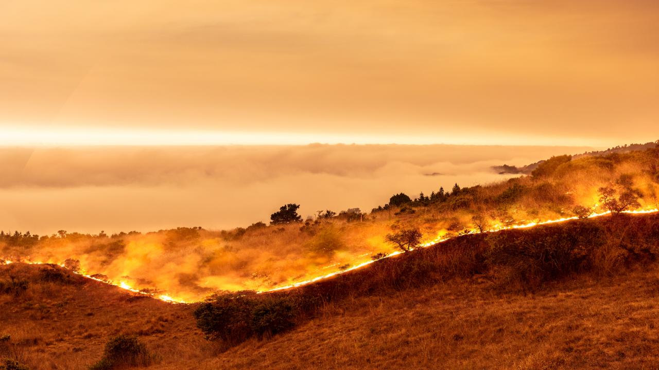 California s 2020 Wildfire Season UC Davis