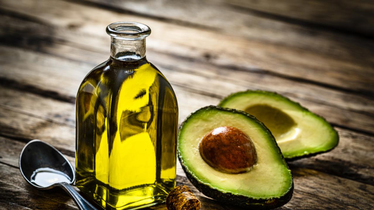 Is avocado oil safe for dogs best sale