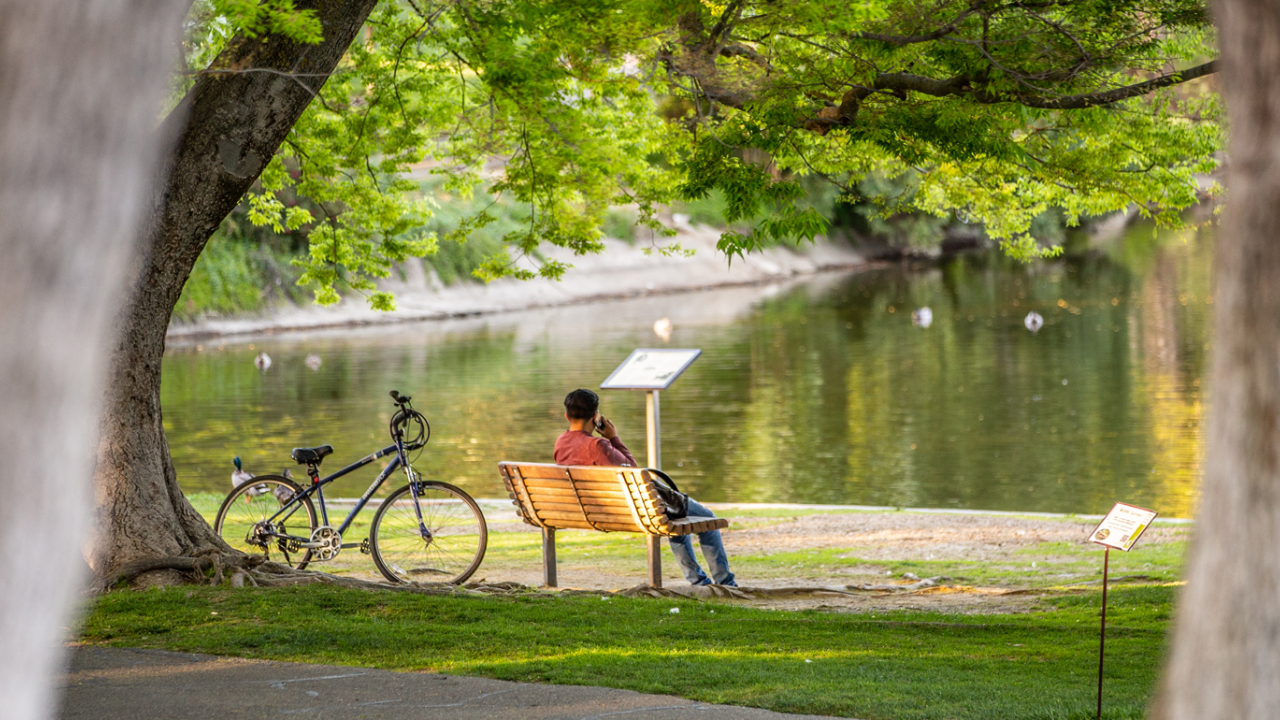 Contact Undergraduate Admissions | UC Davis