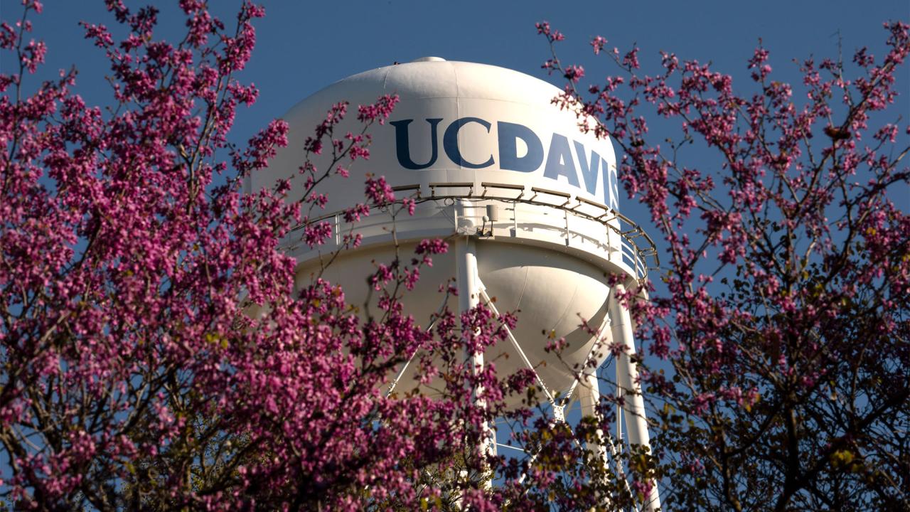 Forbes Names UC Davis a ‘Best Employer’ for Diversity (Again) and Women