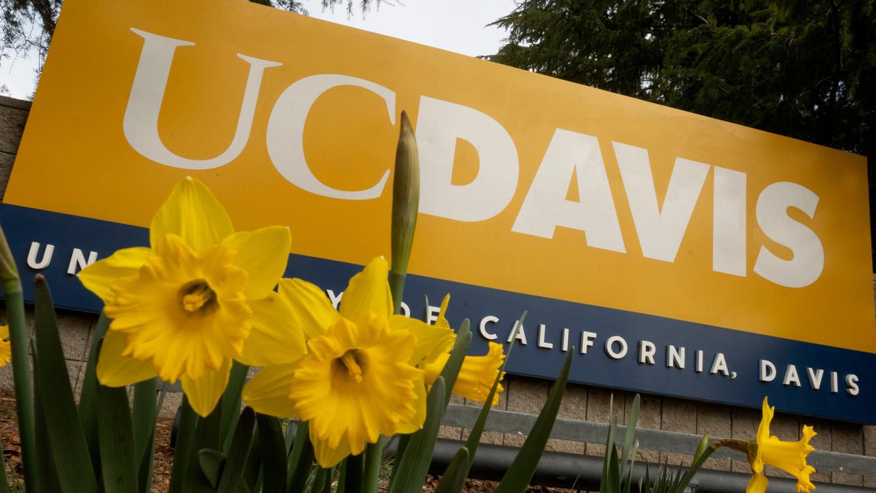 Which UC is Right for Me UC Davis