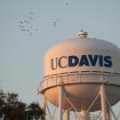 Generic UC Davis image