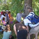 Photo: Professor Phil Ward gathers his tour group around a tree, In Search of Native Ants, in the arboretum.