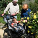 Three generations take a stroll through the arboretum's Storer Garden earlier this week. Pictured are Paul Kelly and son James, 15 months, from Davis,