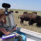 Graduate student Megan Wyman uses a hand-held sound meter to measure bison bellows in Nebraskas Fort Niobrara National Wildlife Refuge.