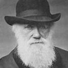 Charles Darwin in 1880.