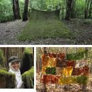 Photos (3): Minoosh Zomorodinia and two of her environmental installations: Carpet, made of moss, and Quilt, made of leaves.
