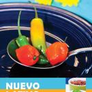 Graphic: Nuevo Latino Cuisine poster