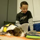 Seven-year-old Zachary Callahan from Davis reads a Harry Potter book to Lollipop, a Chihuahua-terrier mix.