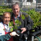Connie Lopez of Foundation Plant Services delivers one of the new rootstocks to nurseryman Jim Pratt.