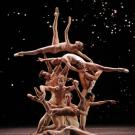 Morphoses/The Wheeldon Company, featuring superstars from some of the worlds foremost dance troupes