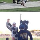 Photos (2): Rich Engel, dressed at Bossy the Cow; and Gunrock on the field and in the stands at the Nov. 2 football game.