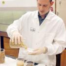 Doctoral student Gabe Rensen spikes cattle feel with a bovine meat and bone meal mixture.