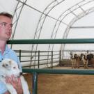 Frank Mitloehner, an air quality extension specialist in animal science, with his dog, Sam, checks out the interior of one of the campus&rsquo;s bovine bio-bubbles. Each of the four tents will house 10 cows as Mitloehner monitors emissions inside th