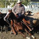 Photo: Cowboy riding a cutting horse in action
