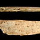 Photo: two views of a bone tool made by Neandertals
