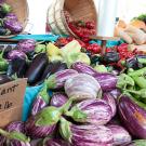 Photo: Farmers market vegetables
