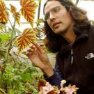 Staff research associate Ernesto Sandoval checks out one of the more than 3,000 plant species housed by the UC Davis Botanical Conservatory. Sandoval was a key player last summer when one of the conservatory&rsquo;s more odiferous plants, &ldquo;Ted the