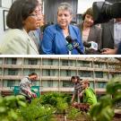 Photos (2): TV interview (with camera and microphone) and a garden scene in which a young man gives instructions and two young women stand ready to pl