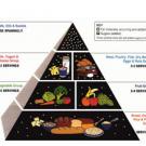 Federal Web sites launched this month with the help of alumna Ann Veneman also links to information on the familiar Food Guide Pyramid, which, based on new research, is undergoing revision and will be re-released in the spring.