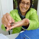 Photo: Loreto Godoy holds a hummingbird during a banding operation.