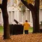 Photo: Groundskeeper tackles fallen leaves.