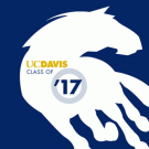 Graphic: outline of a mustang running with UC Davis and '17 in type