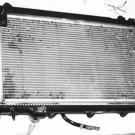 The rental car radiator -- and bugs.