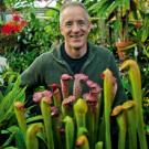 Carnivorous plant expert Barry Rice is shown here in the UC Davis Botanical Conservatory, which houses more than 3,000 plant species, including carnivorous plants like these shown here.