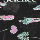 Picture of the Science magazine cover, showing leaves.