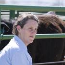 Animal science professor Temple Grandin, who designs livestock handling facilities, is scheduled to discuss autism in two public talks set for Feb. 14 in Freeborn Hall at UC Davis. 