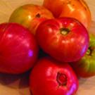 Photo: Tomatoes, from World Food Center seed packet