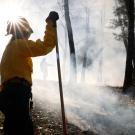 Sunlight shines over the helmet of a woman in firefighting yellow shirt amid smoky woods during prescribed burn