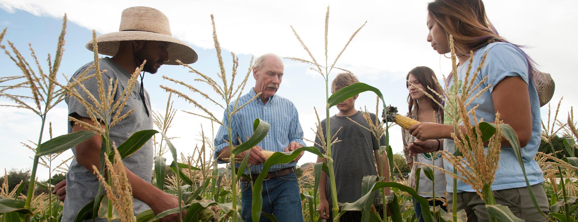 UC Davis | International Agricultural Development Major