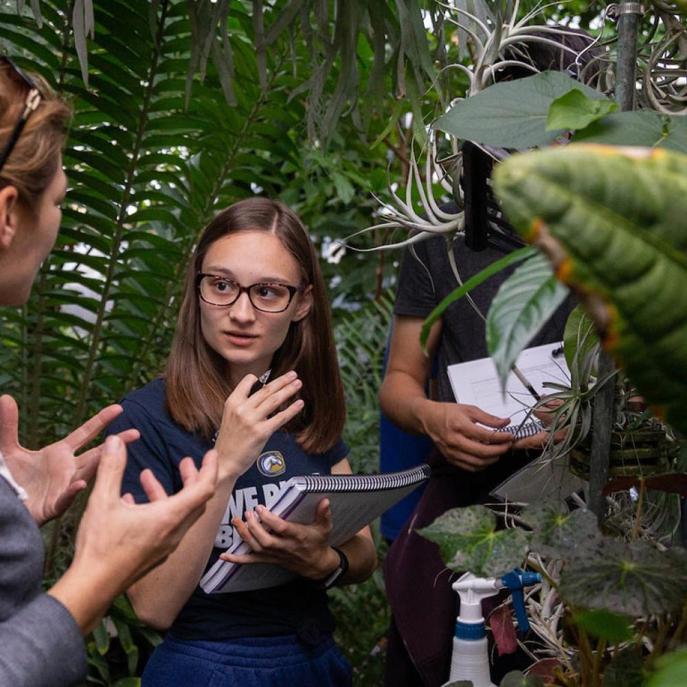 UC Davis | Environmental Horticulture And Urban Forestry Major